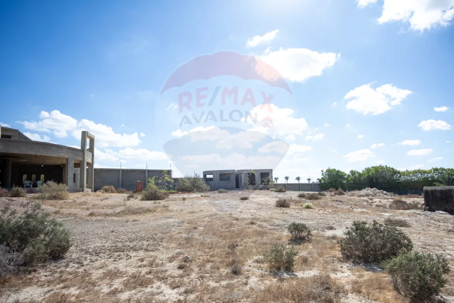 أرض للبيع 1,000 م كينج مريوط (بجوار Bruxie's)