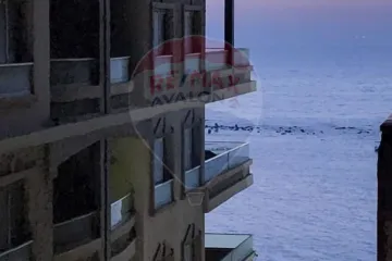 Apartment for rent 300 m Montazah (Mostafa Naguib St.)