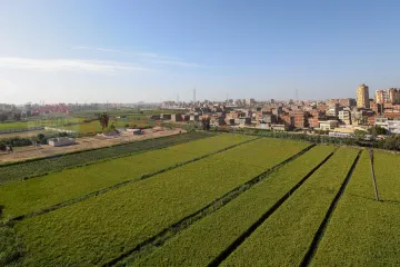 Apartment for sale 113 m New Smouha (Alex Start)