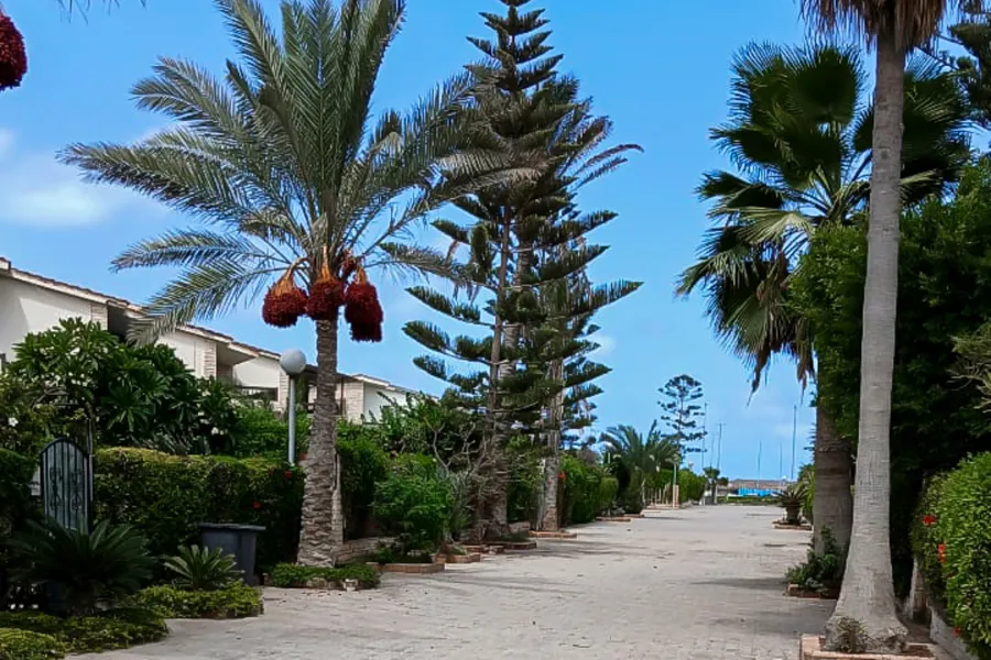 Ground floor chalet with garden for sale (New Maamoura) - 120 m