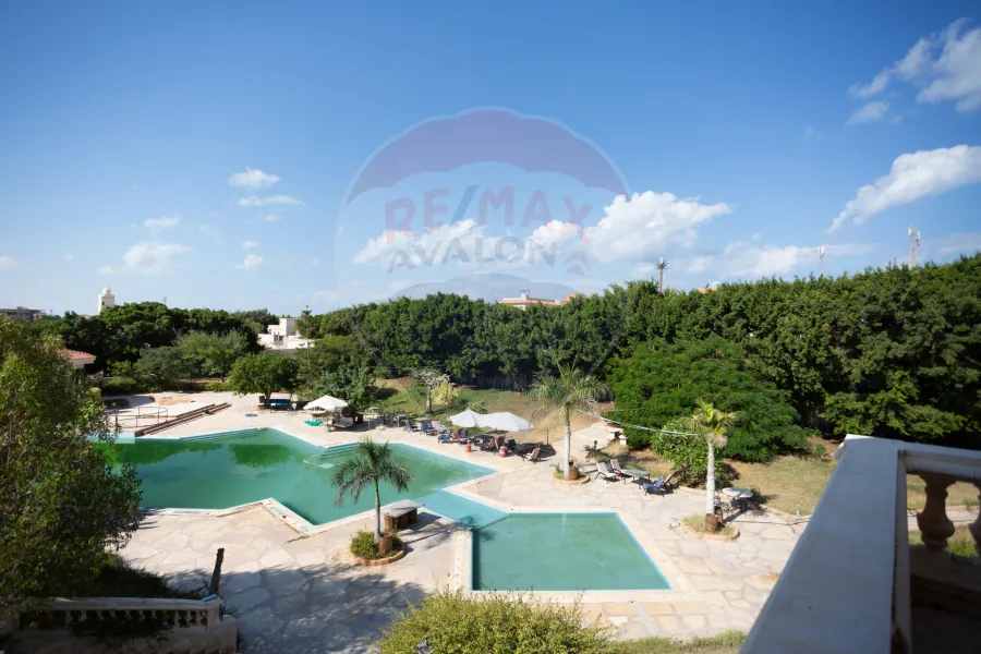 قصر للبيع (سيدي كرير) 9,000 م