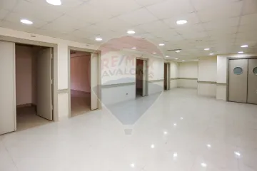 ميزان ادارى للايجار 230 م سموحة (ش فوزى معاذ)