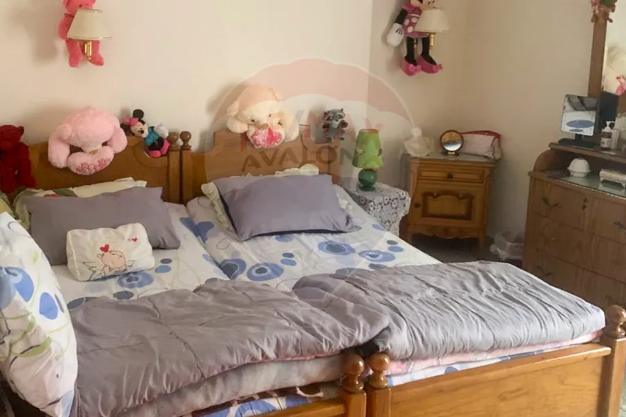 Apartment for sale 220 m Gleem (Hadaya basha St.)