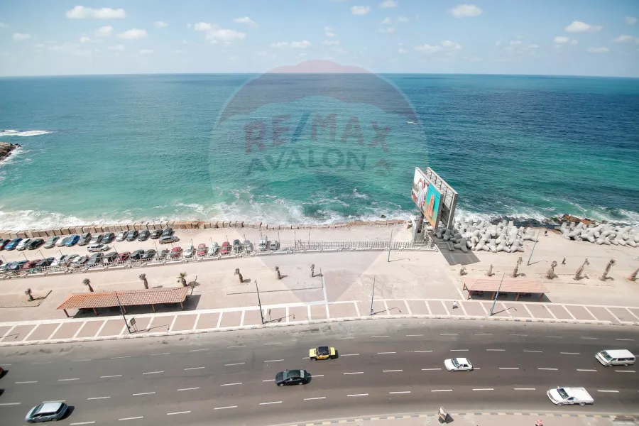 شقة للإيجار 300 م لوران (على البحر مباشرة)