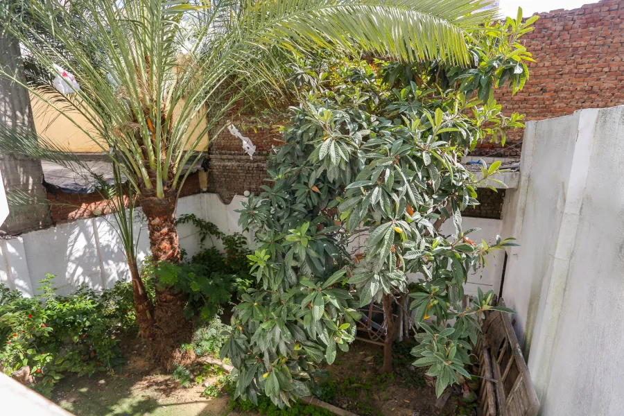 فيلا للبيع 250 م سموحة (ش مصطفي كامل)