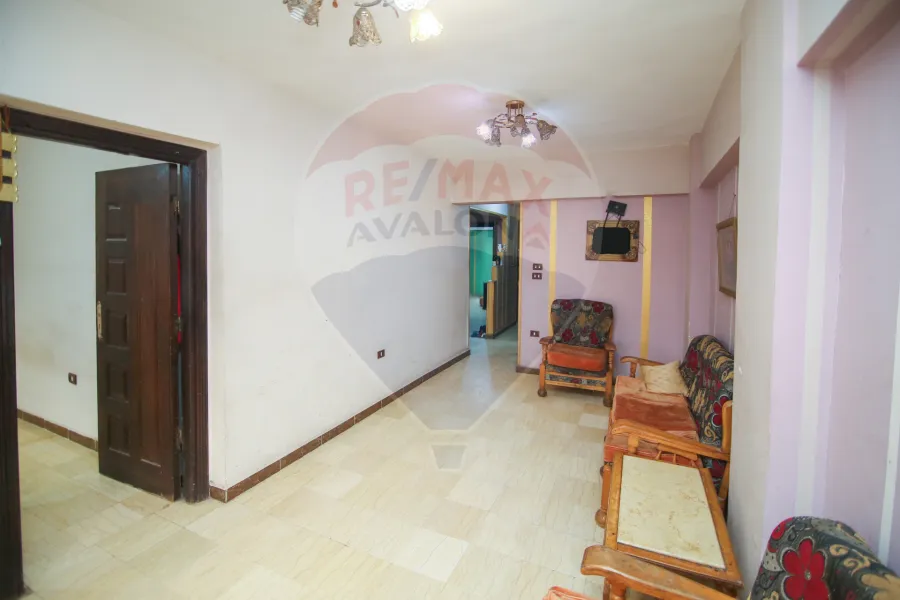 شقه للبيع 100 م كامب شيزار ( متفرع من ش ابو قير)