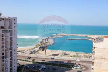 شقة للبيع 500 م  زيزينيا ( 3 نمرة من البحر - خطوات من قصر المجوهرات)