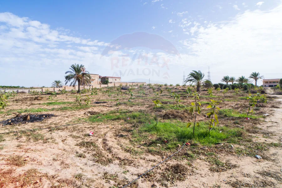 Land for sale 29,400 m North coast (k 36 - Amon village)