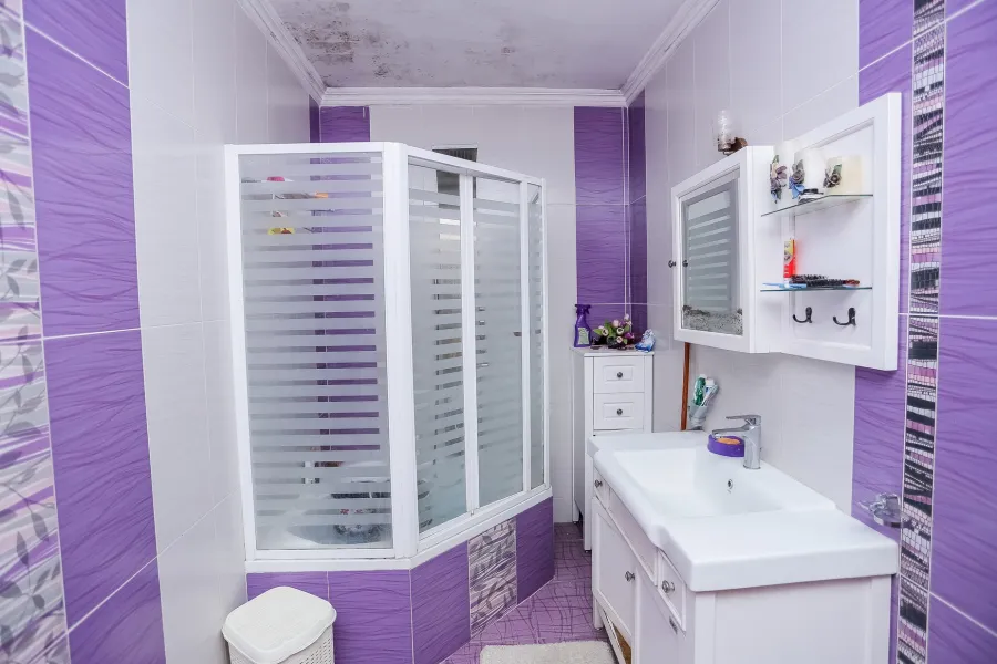 Apartment for sale 380m Roushdi(Branched from Tram)