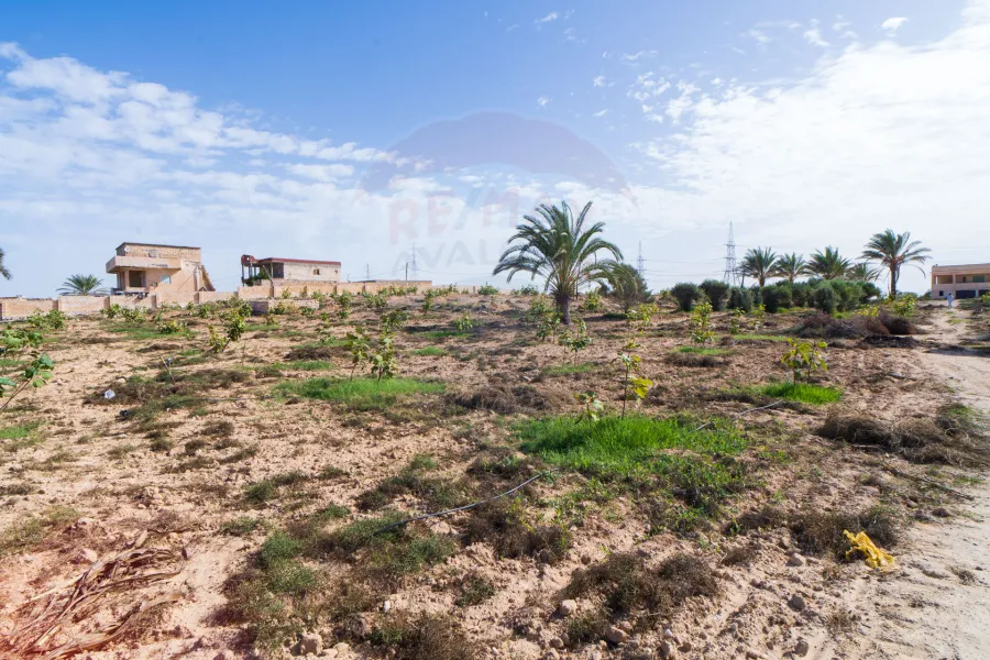 Land for sale 29,400 m North coast (k 36 - Amon village)