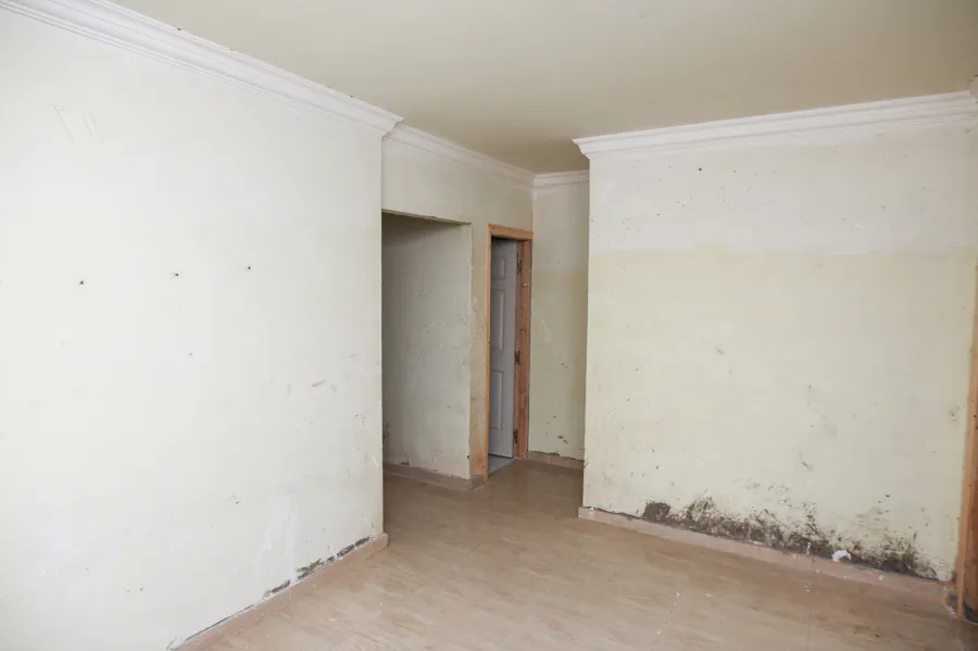 شقة للبيع 207م جليم (4 نمرة من البحر)