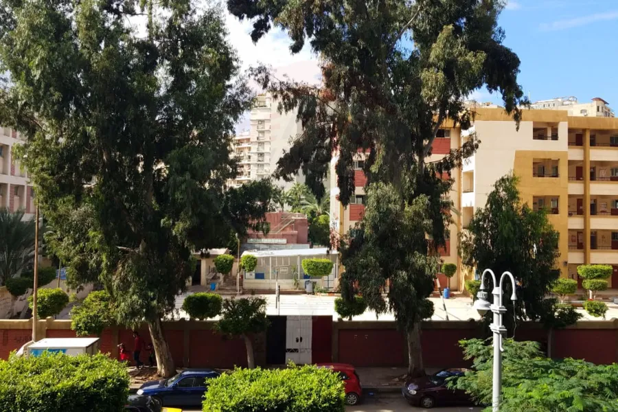 Furnished administrative unit for rent 110 m Smouha (Ismail Serry St.)