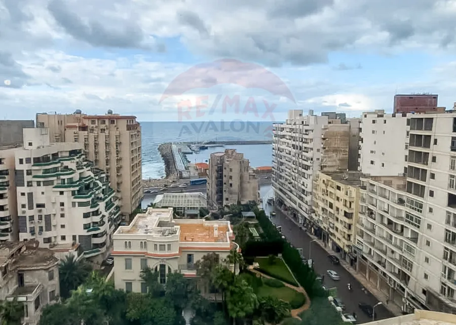 Duplex apartment for sale 235 m Louran (Abd El-Salam Aref St)