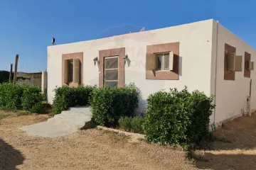 مزرعه مواشي للبيع 15,000 م برج العرب