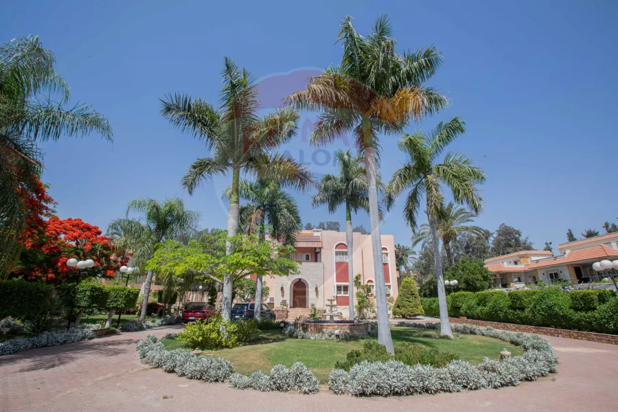 Registered villa for sale 3,700 m King Mariout (Rashid st)