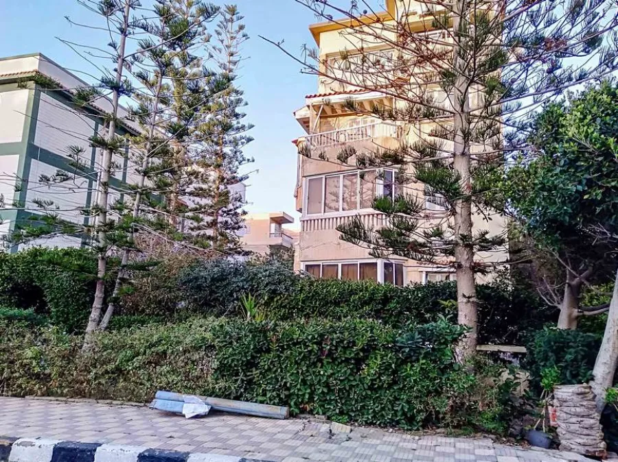 عقار للبيع 550م المعمورة الشاطي - مسجل شهر عقاري