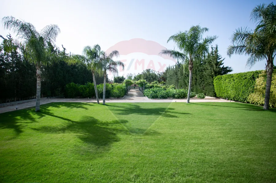 فيلا للبيع 4200 م كينج مريوط ( 2 نمرة من طريق الكافورى - أمام بوابة كينج هايتس )