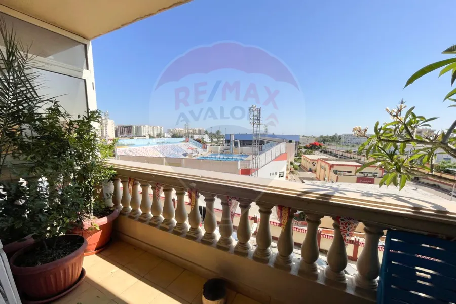 شقة للبيع 216 م سموحة (ش أدمون فريمون)