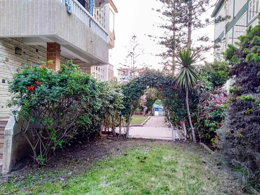 عقار للبيع 550م المعمورة الشاطي - مسجل شهر عقاري