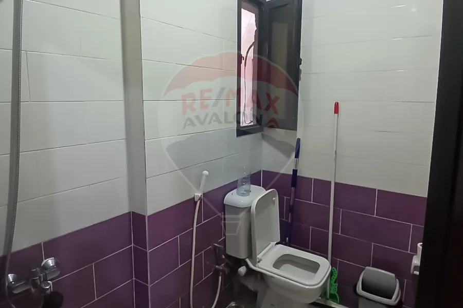 Apartment for rent 250 m Smouha (Kamal El Din Salah St.)