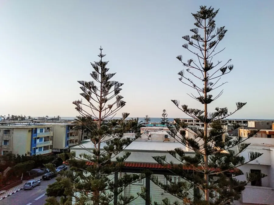 عقار للبيع 550م المعمورة الشاطي - مسجل شهر عقاري