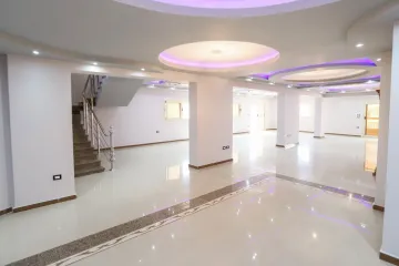 Duplex Apartment For Sale 650m Roushdy (Branched From Abd El-Hammed El-Abady St.)