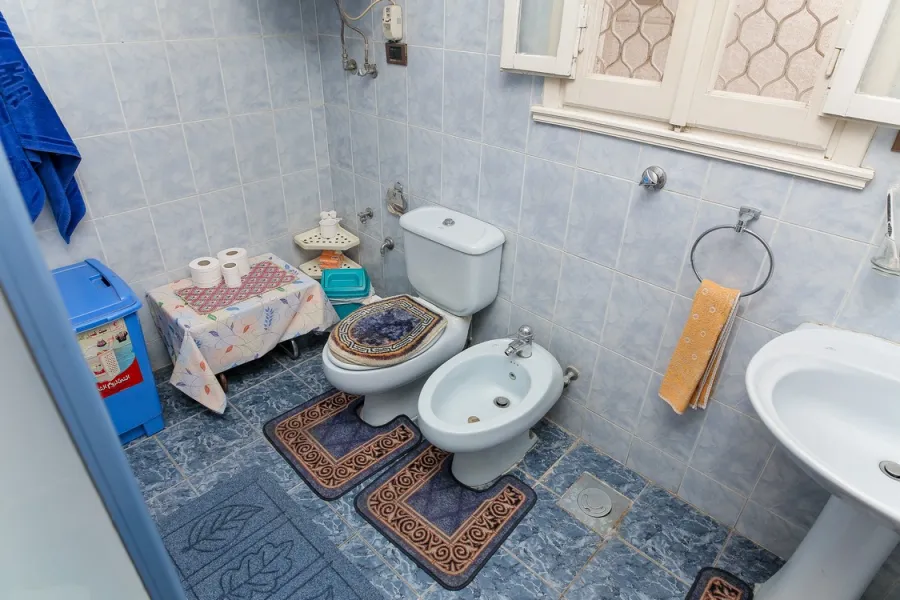 Apartment for sale 250m Roushdy (Tram Station.)