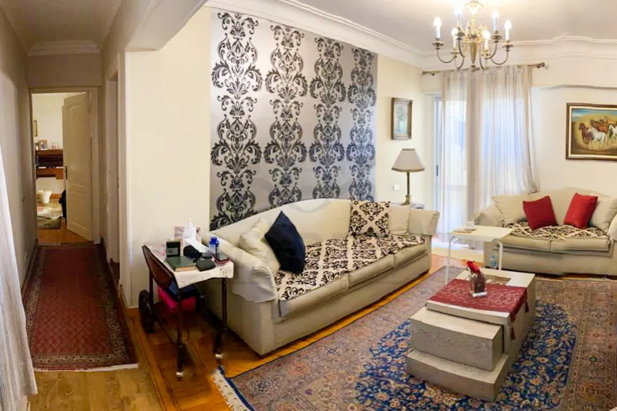 شقه للايجار 250 م جناكليس (ش ابو قير)