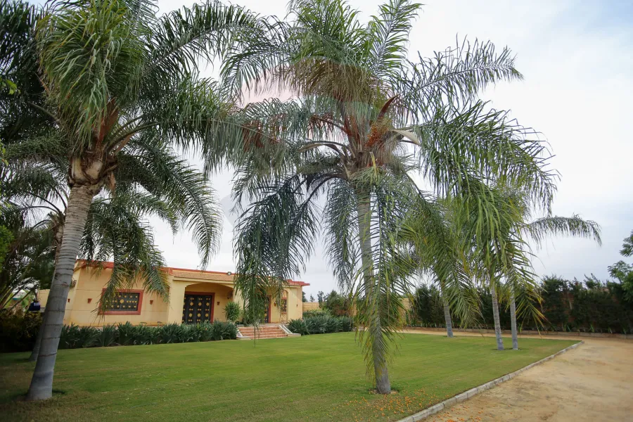 فيلا للبيع 4,000 م كينج مريوط (أمام كومباوند كينج هايتس)