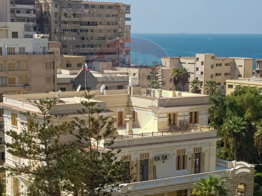 شقه للايجار 175 م سابا باشا  (متفرع من ش ابو هيف)