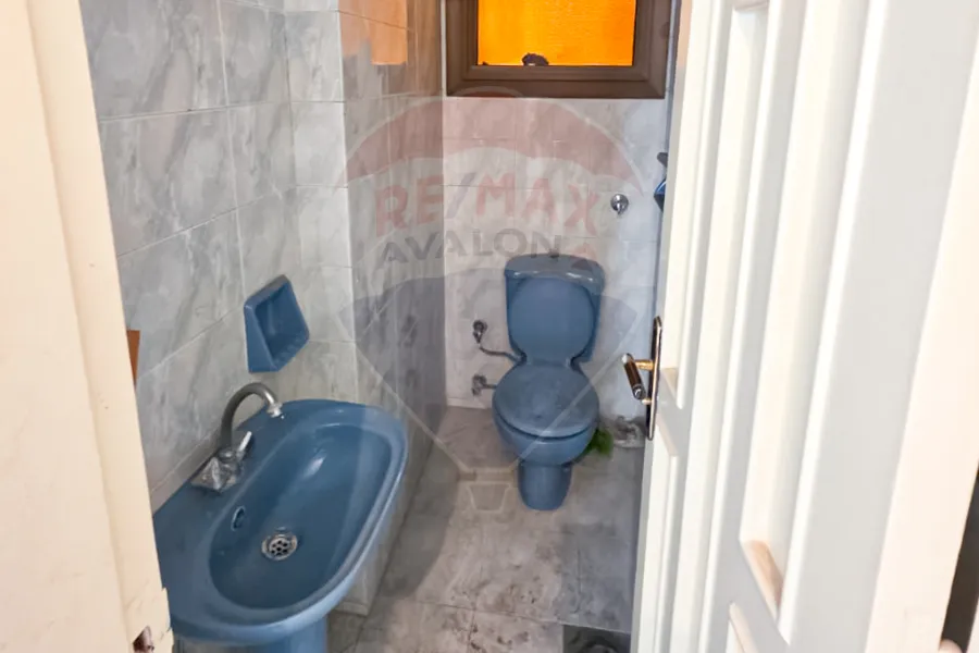 شقة دوبلكس للبيع 320 م لوران (متفرع من ش شعراوي)