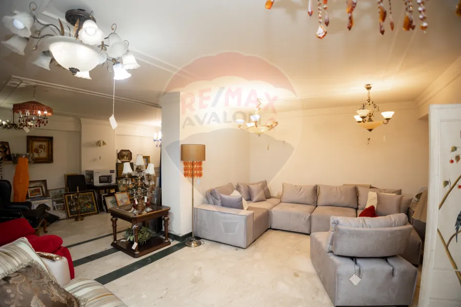 شقة للبيع 325 م سموحة (ش البرت الأول - عمارة براند)