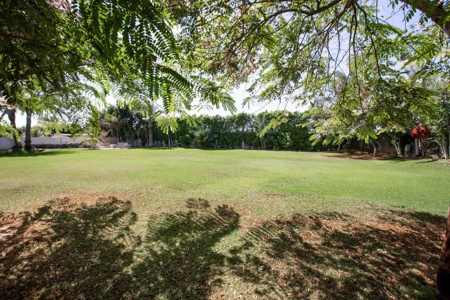 فيلا للإيجار 4500م بكينج مريوط  (بجوار مطار برج العرب)