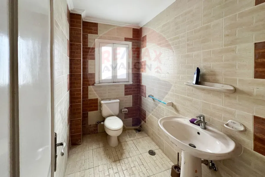 شقة للإيجار 300 م محطة الرمل (علي الترام مباشر)