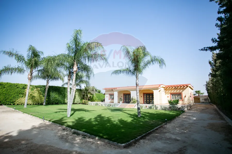 فيلا للبيع 4200 م كينج مريوط ( 2 نمرة من طريق الكافورى - أمام بوابة كينج هايتس )