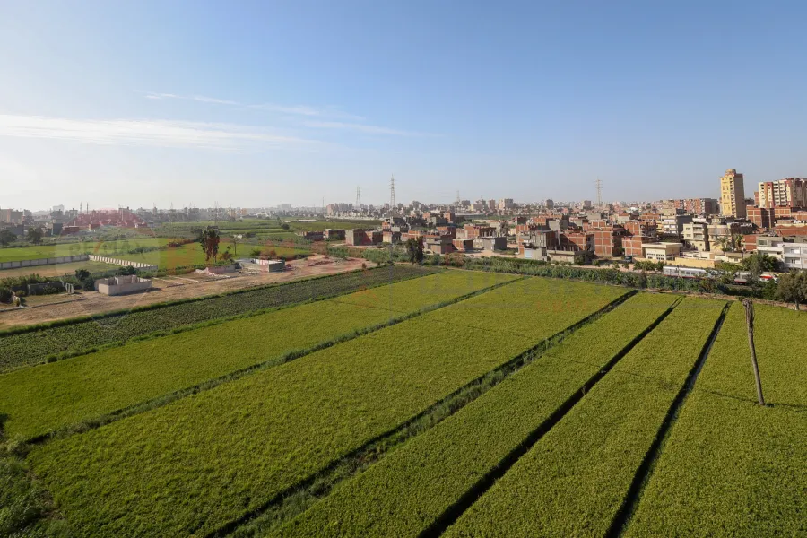 Apartment for sale 113 m New Smouha (Alex Start)