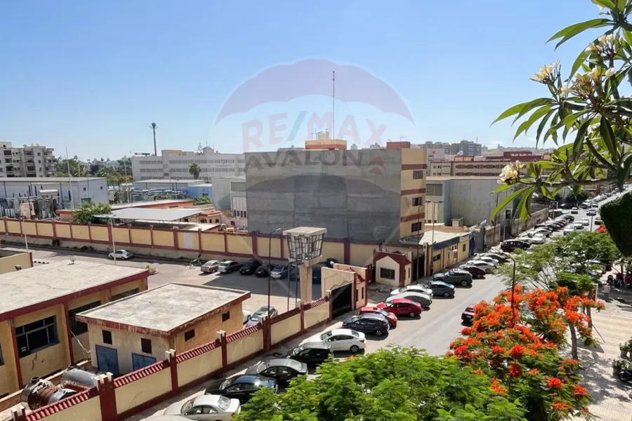 شقة للبيع 216 م سموحة (ش أدمون فريمون)