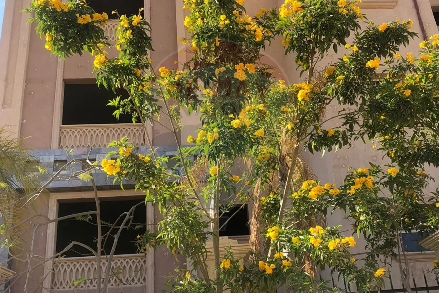 Apartment for sale 165 m King Mariout (Spring House)