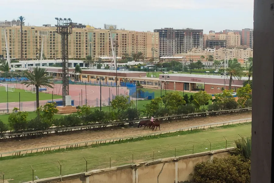 شقه للبيع 206 م سموحة ( كومباوند جراند فيو )