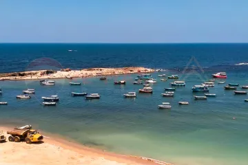 شقه للايجار 90 م ميامي (علي البحر مباشرة)