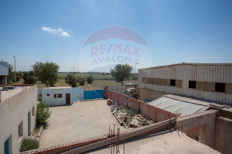 Factory for sale 3,150 m Borg Al-Arab (Third Industrial Zone)
