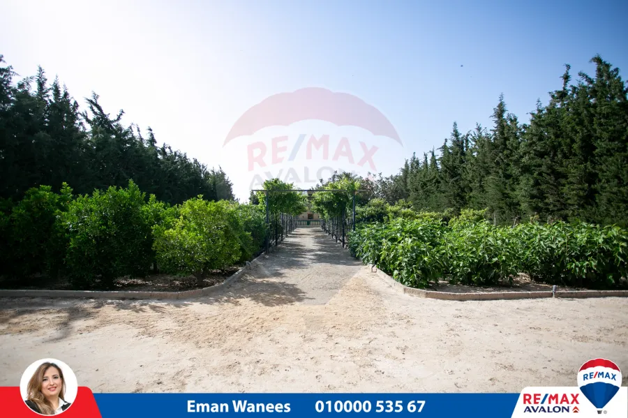 فيلا للبيع 4200 م كينج مريوط ( 2 نمرة من طريق الكافورى - أمام بوابة كينج هايتس )