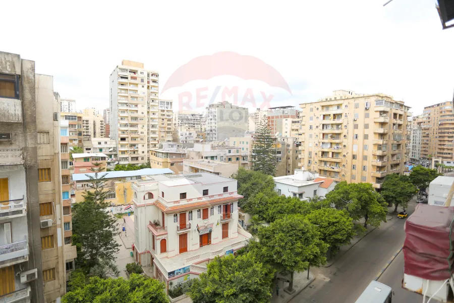 (شقة للبيع 250 م جليم (طريق الحرية