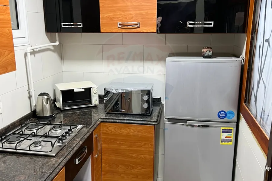 Furnished apartment for rent 100 m Smouha (top house buildings)