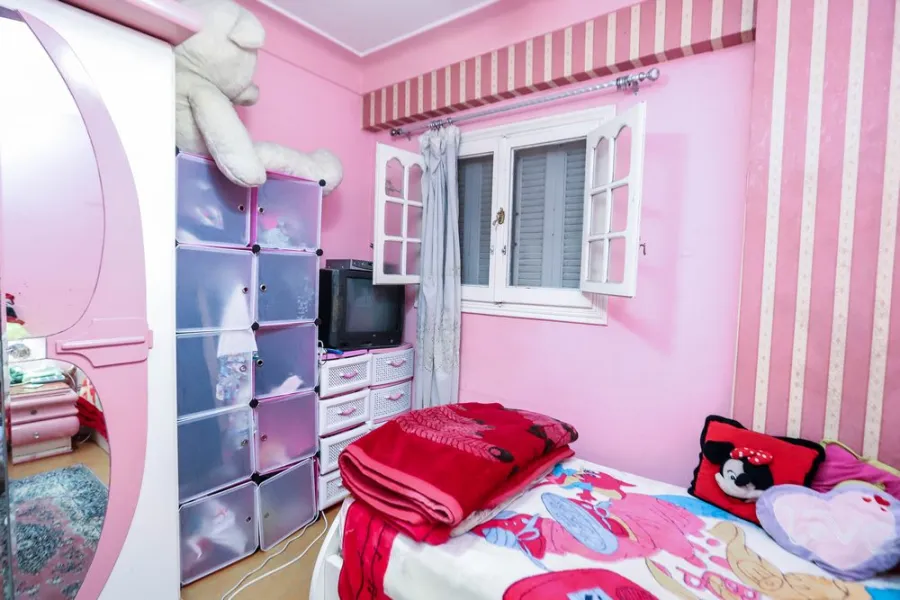 Duplex Apartment For Sale 250m Stanly (Shohdy Basha St.)