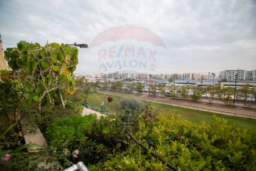 Apartment for sale 260 m Smouha (Transport and Engineering St.)