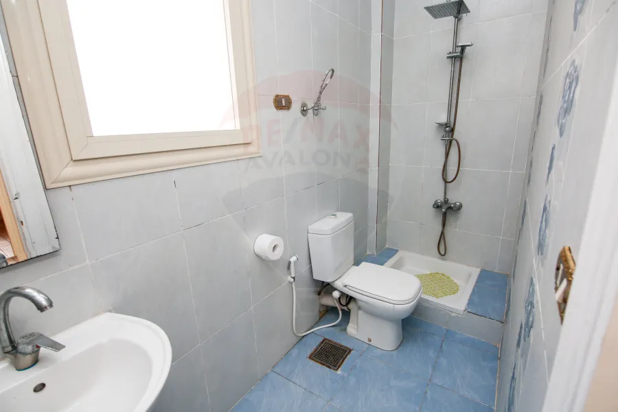 فيلا مفروش للايجار 500 م كينج مريوط (اليجانس كمبوند)