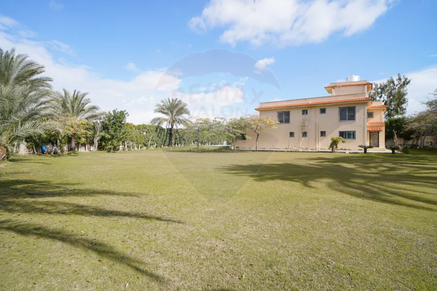 فيلا للبيع 4,200 م (فدان) كينج مريوط (بالقرب من واحة خطاب)