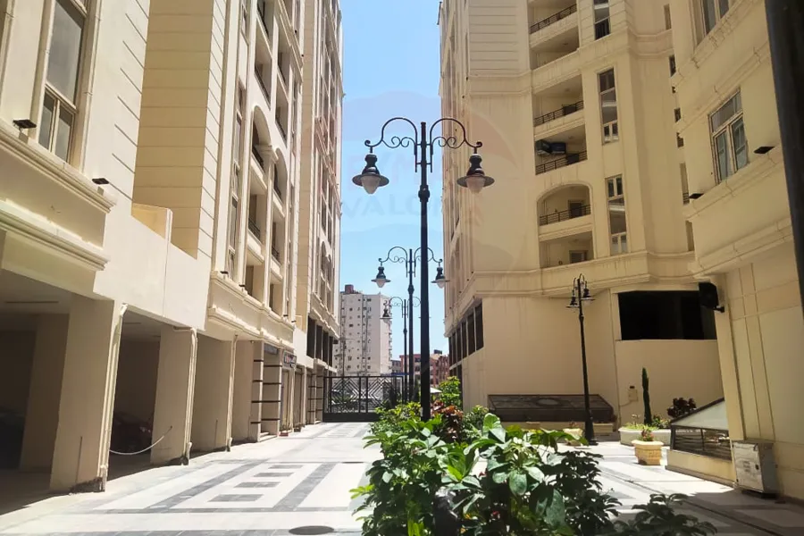 Apartment for rent 170 m new semouha (pharmacists compound) - Pharma City Agricultural Road