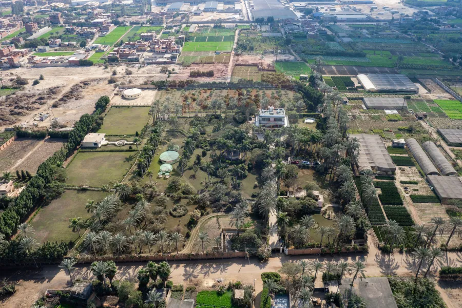 مزرعة 9 فدان بها قصر للبيع القاهرة (المنصورية)